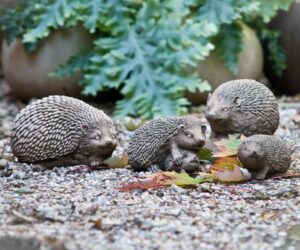 396028659_1075125287235570_7686577611368077965_n