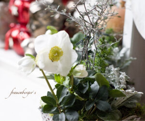 Facebook 173 006 Kopie