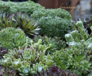 Facebook 218 021Facebook 218